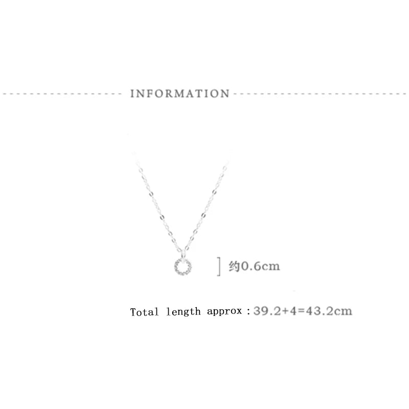 Silver Zircon Double Circle Pendant Necklace for Women