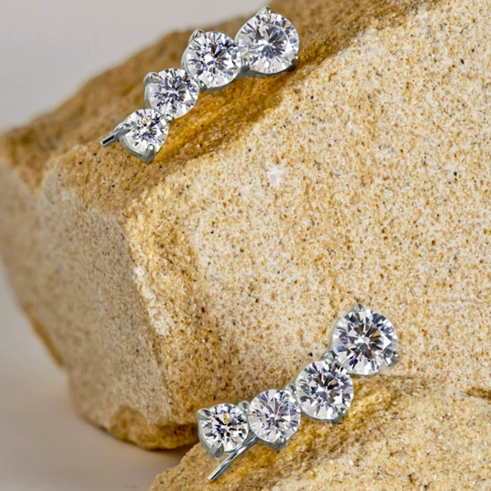 Silver or Gold Round Zircon Earrings for Women