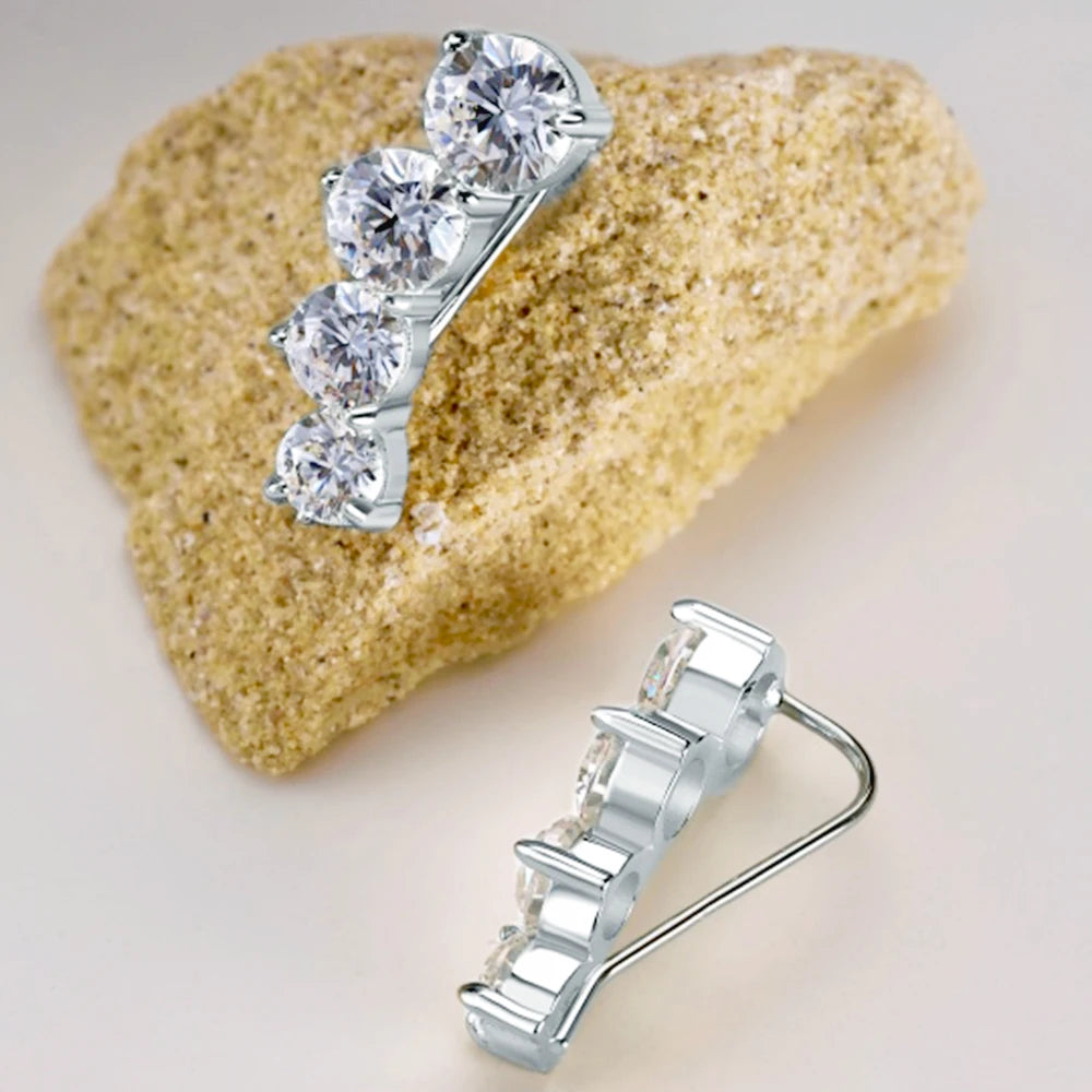 Silver or Gold Round Zircon Earrings for Women