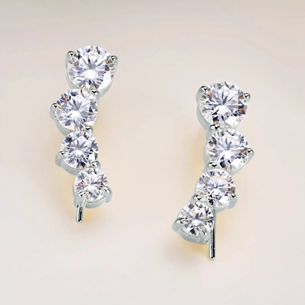 Silver or Gold Round Zircon Earrings for Women