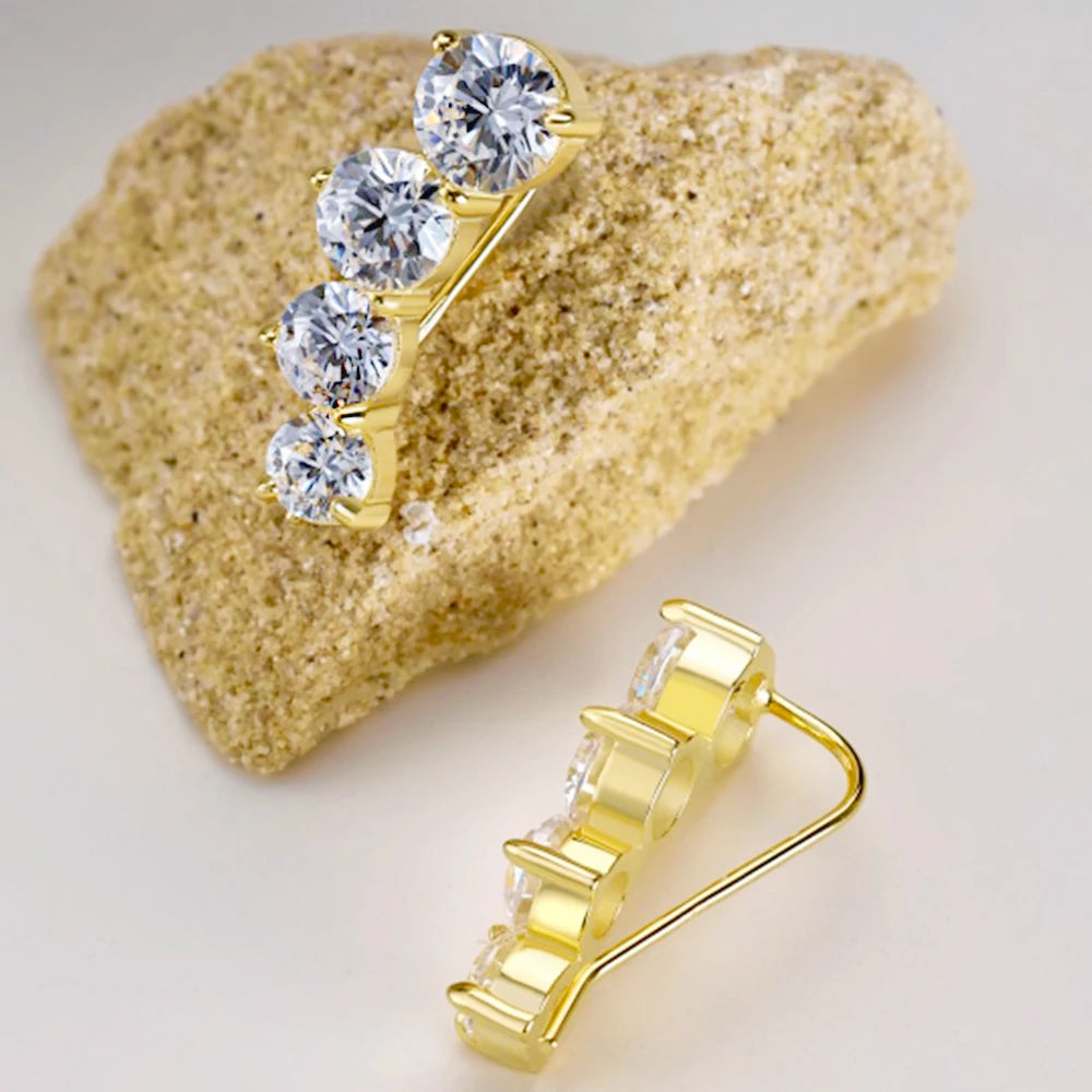 Silver or Gold Round Zircon Earrings for Women