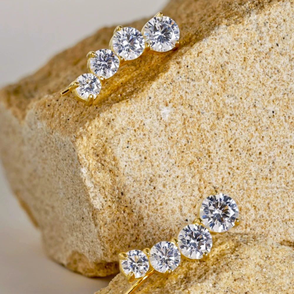 Silver or Gold Round Zircon Earrings for Women